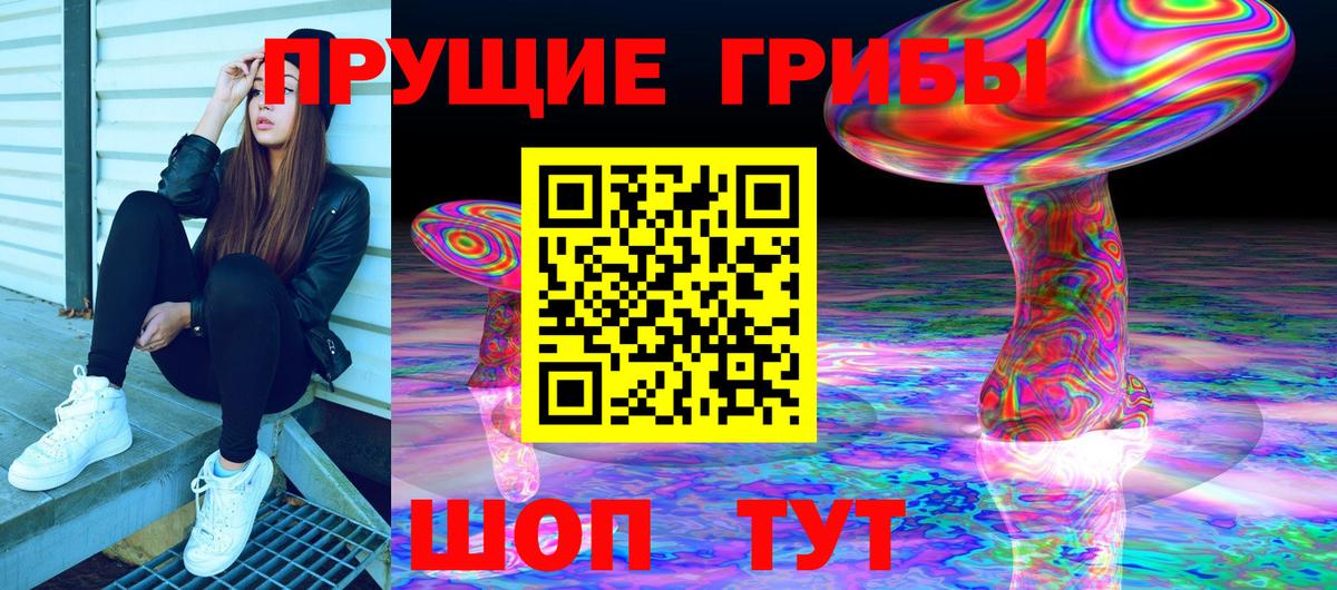 Галлюциногенные грибы MAGIC MUSHROOMS  Вход с VPN  Бийск 