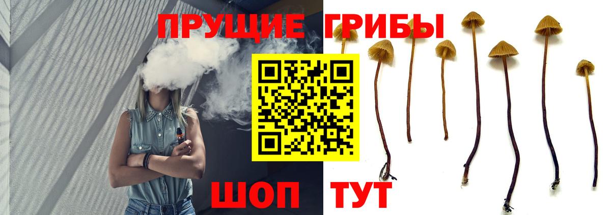 Псилоцибиновые грибы мицелий Бийск